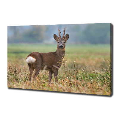 Cuadro canvas con impresión uv duradera horizontal Hueva