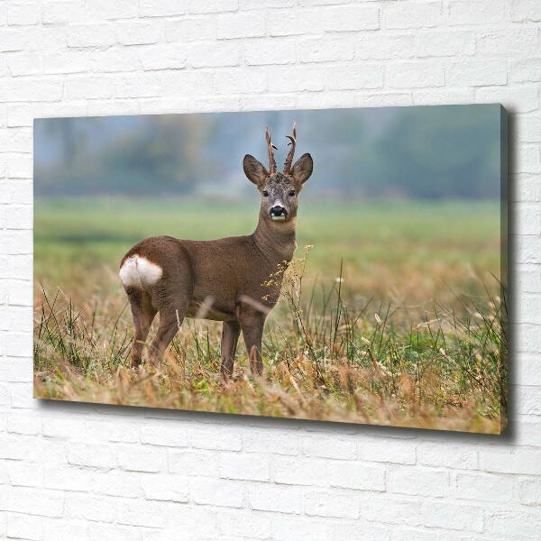 Cuadro canvas con impresión uv duradera horizontal Hueva
