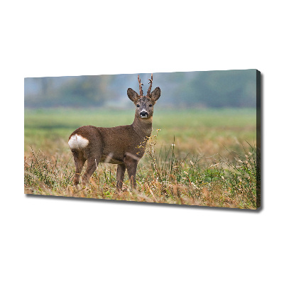 Cuadro canvas con impresión uv duradera horizontal Hueva