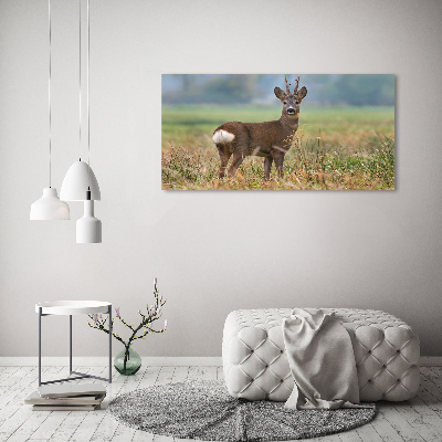 Cuadro canvas con impresión uv duradera horizontal Hueva