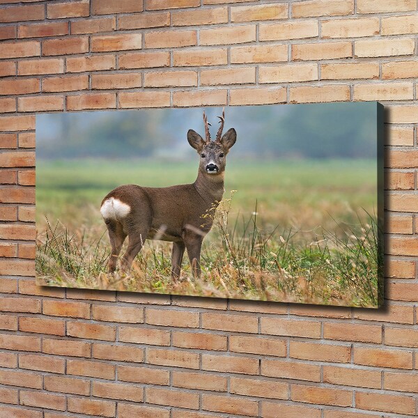 Cuadro canvas con impresión uv duradera horizontal Hueva