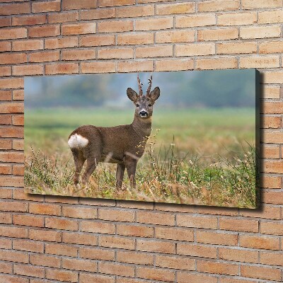 Cuadro canvas con impresión uv duradera horizontal Hueva