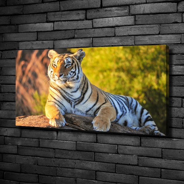 Cuadro canvas moderno de gran formato horizontal Retrato de un tigre