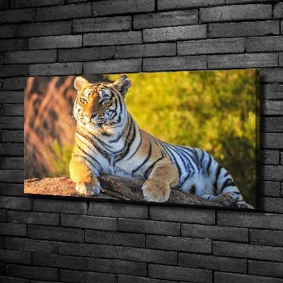 Cuadro canvas moderno de gran formato horizontal Retrato de un tigre