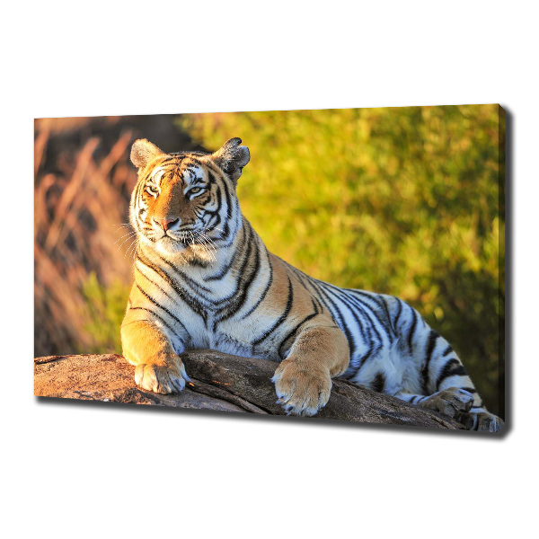 Cuadro canvas moderno de gran formato horizontal Retrato de un tigre