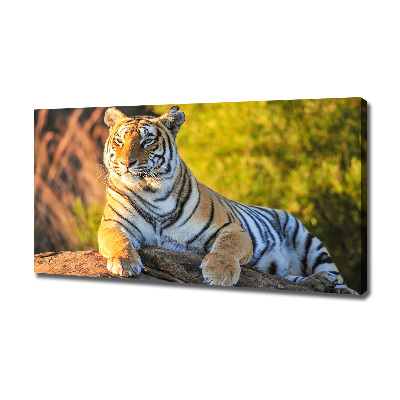 Cuadro canvas moderno de gran formato horizontal Retrato de un tigre
