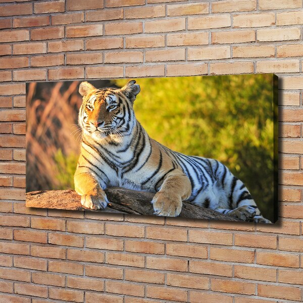 Cuadro canvas moderno de gran formato horizontal Retrato de un tigre