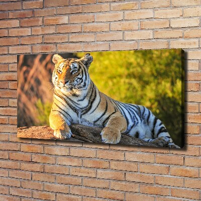 Cuadro canvas moderno de gran formato horizontal Retrato de un tigre