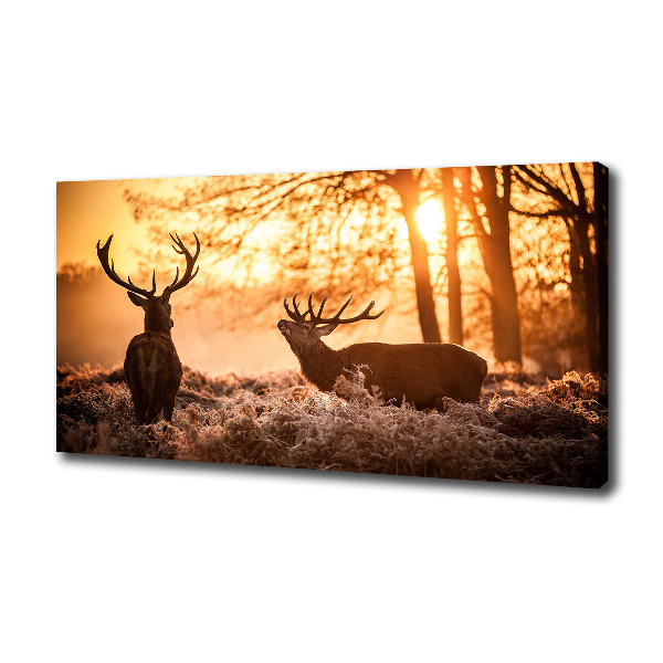 Foto en lienzo con acabado profesional horizontal Amanecer de ciervos
