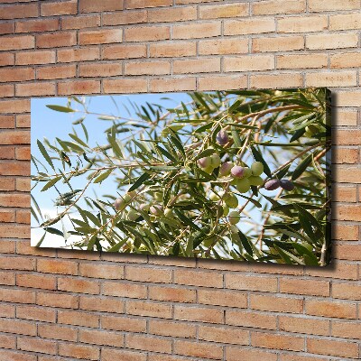 Fotocuadro en lienzo de alta calidad horizontal Olivo