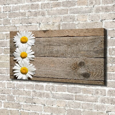 Cuadro canvas con impresión uv duradera horizontal Madera de margaritas