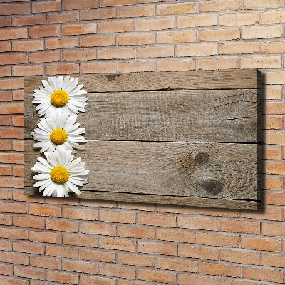 Cuadro canvas con impresión uv duradera horizontal Madera de margaritas