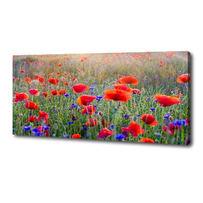 Fotocuadro en lienzo de alta calidad horizontal Flores silvestres