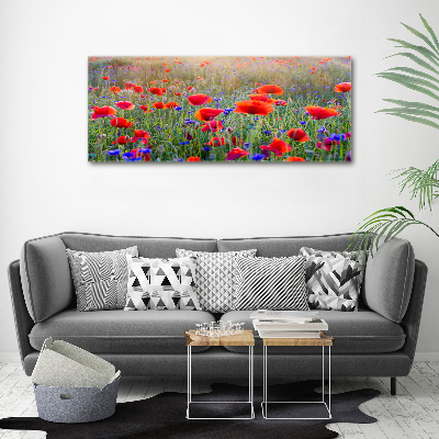 Fotocuadro en lienzo de alta calidad horizontal Flores silvestres