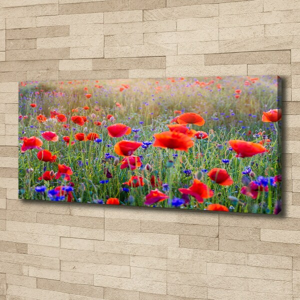 Fotocuadro en lienzo de alta calidad horizontal Flores silvestres