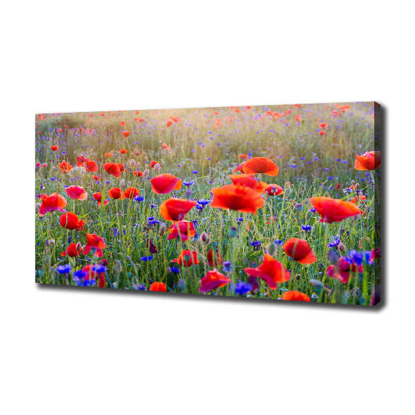 Fotocuadro en lienzo de alta calidad horizontal Flores silvestres