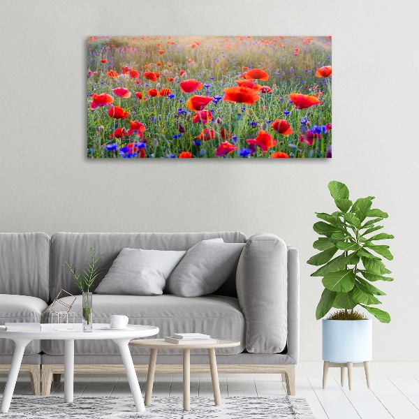 Fotocuadro en lienzo de alta calidad horizontal Flores silvestres