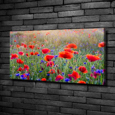 Fotocuadro en lienzo de alta calidad horizontal Flores silvestres