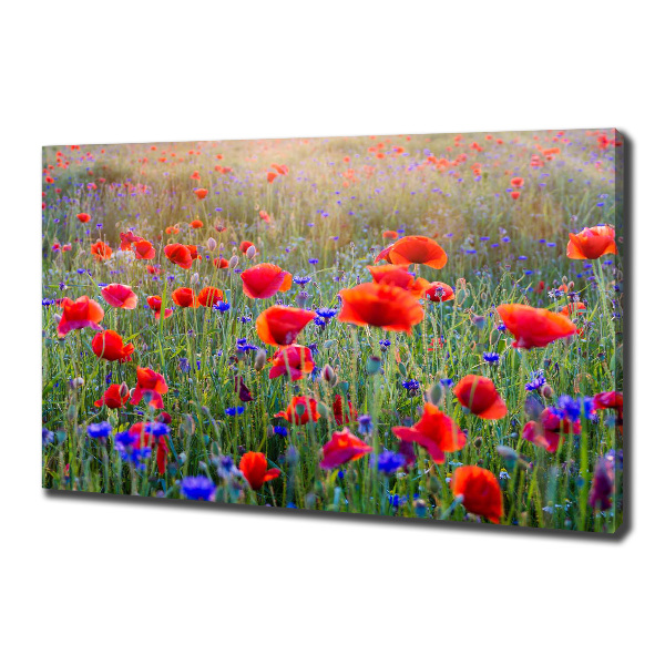 Fotocuadro en lienzo de alta calidad horizontal Flores silvestres