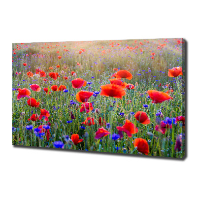 Fotocuadro en lienzo de alta calidad horizontal Flores silvestres