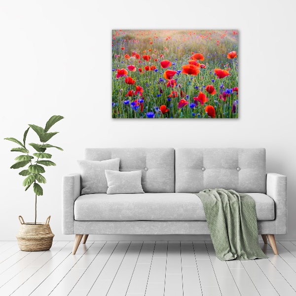 Fotocuadro en lienzo de alta calidad horizontal Flores silvestres