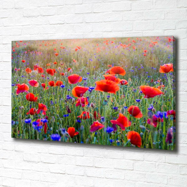 Fotocuadro en lienzo de alta calidad horizontal Flores silvestres