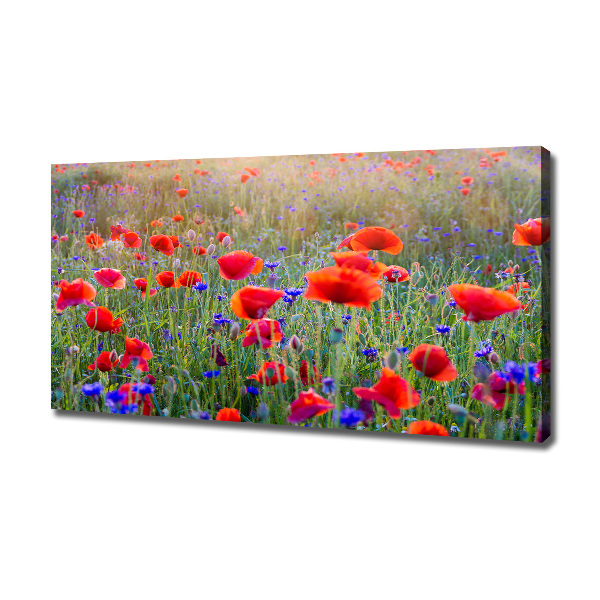 Fotocuadro en lienzo de alta calidad horizontal Flores silvestres