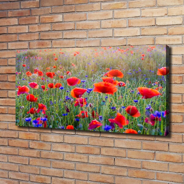 Fotocuadro en lienzo de alta calidad horizontal Flores silvestres