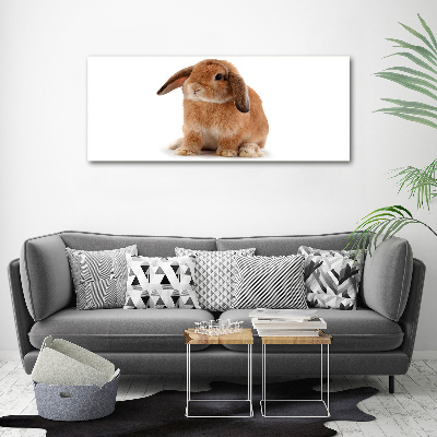 Cuadro canvas con impresión uv duradera horizontal conejo rojo