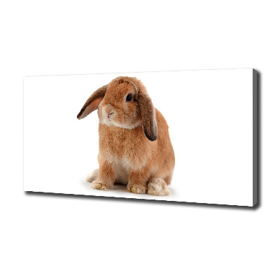 Cuadro canvas con impresión uv duradera horizontal conejo rojo