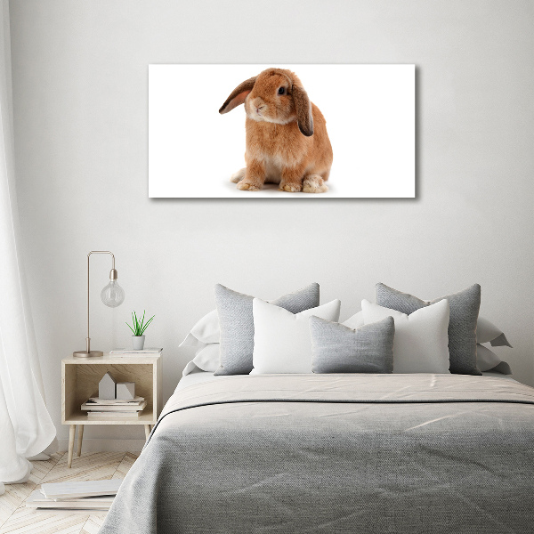 Cuadro canvas con impresión uv duradera horizontal conejo rojo