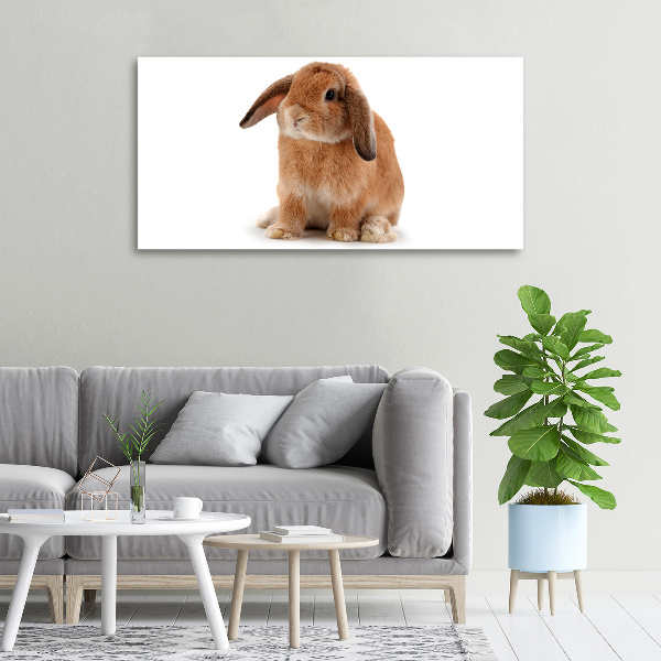 Cuadro canvas con impresión uv duradera horizontal conejo rojo