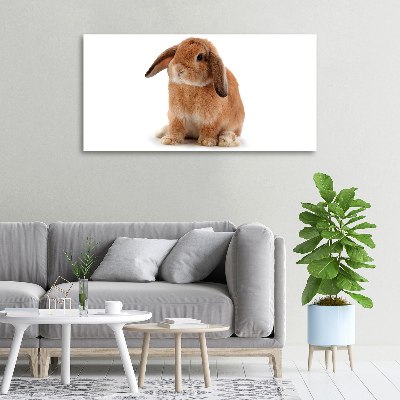 Cuadro canvas con impresión uv duradera horizontal conejo rojo