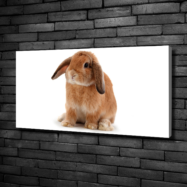 Cuadro canvas con impresión uv duradera horizontal conejo rojo
