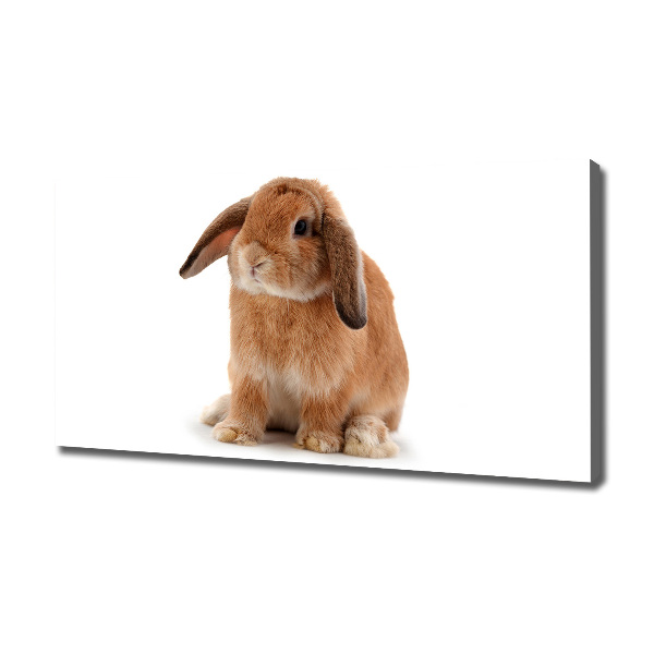Cuadro canvas con impresión uv duradera horizontal conejo rojo