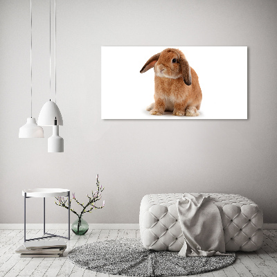 Cuadro canvas con impresión uv duradera horizontal conejo rojo