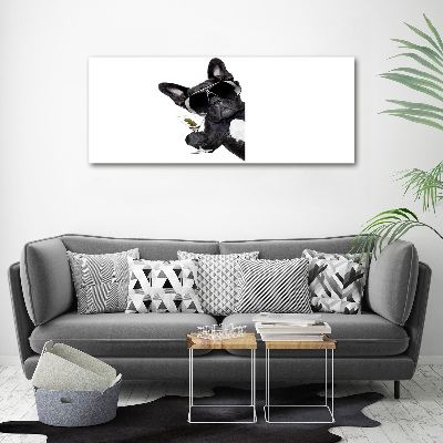 Cuadro canvas moderno de gran formato horizontal Perro Martini