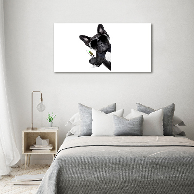Cuadro canvas moderno de gran formato horizontal Perro Martini