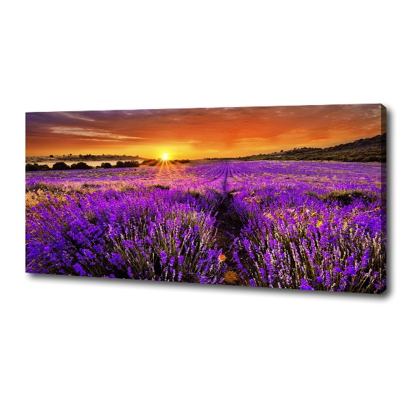 Fotocuadro en lienzo de alta calidad horizontal campo de lavanda