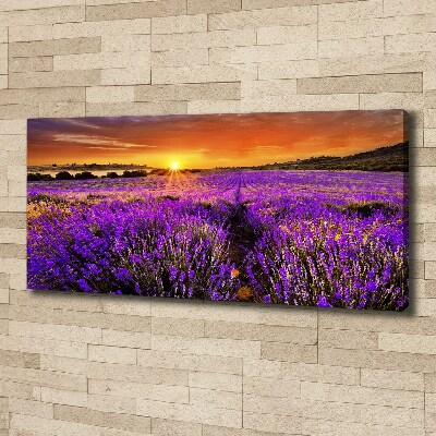 Fotocuadro en lienzo de alta calidad horizontal campo de lavanda