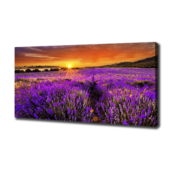 Fotocuadro en lienzo de alta calidad horizontal campo de lavanda