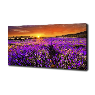 Fotocuadro en lienzo de alta calidad horizontal campo de lavanda