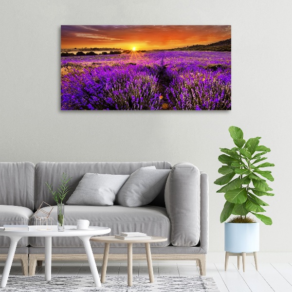 Fotocuadro en lienzo de alta calidad horizontal campo de lavanda