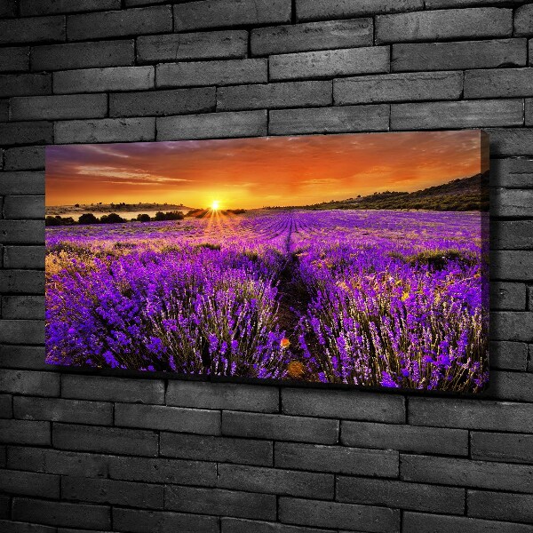 Fotocuadro en lienzo de alta calidad horizontal campo de lavanda