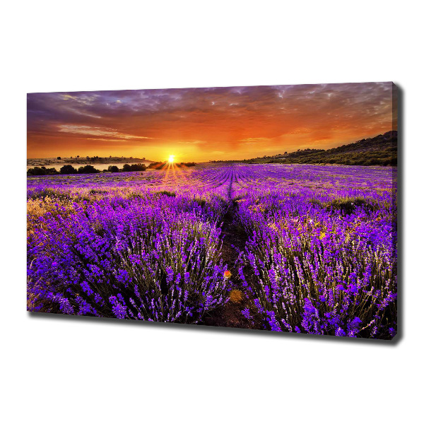 Fotocuadro en lienzo de alta calidad horizontal campo de lavanda