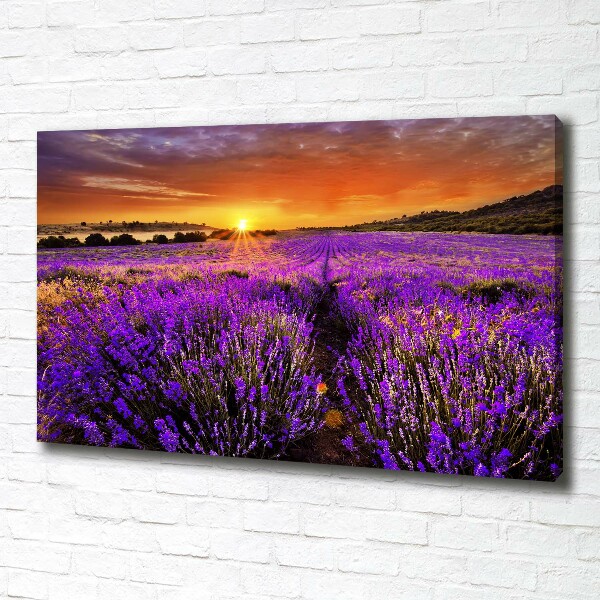 Fotocuadro en lienzo de alta calidad horizontal campo de lavanda