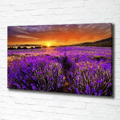Fotocuadro en lienzo de alta calidad horizontal campo de lavanda