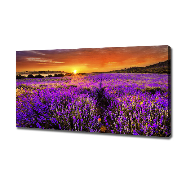 Fotocuadro en lienzo de alta calidad horizontal campo de lavanda
