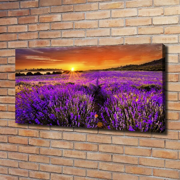 Fotocuadro en lienzo de alta calidad horizontal campo de lavanda