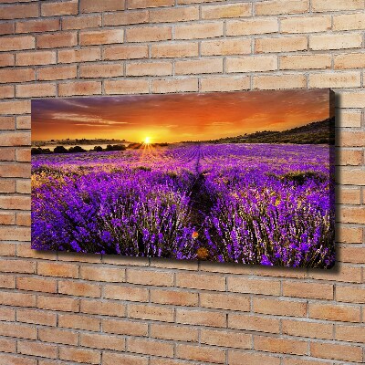 Fotocuadro en lienzo de alta calidad horizontal campo de lavanda